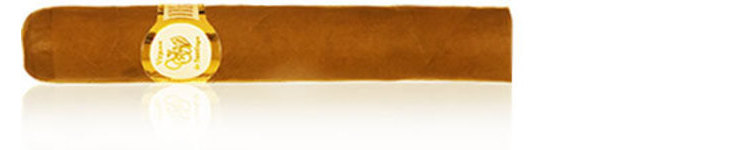 VdS White Label Robusto _ 5 x 50