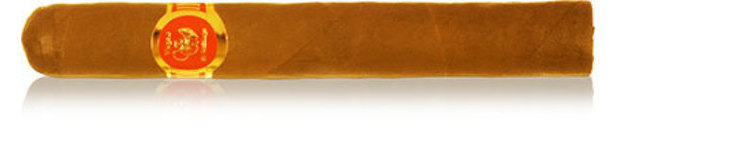 VdS Puros Edicion Especial Canionazo/Toro _ 6 x 52