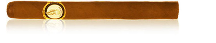 Chaman Corona _ 6 x 42