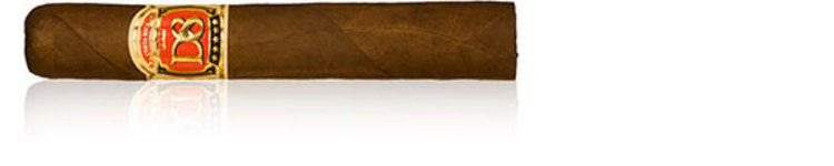 D8 Robusto_5x50